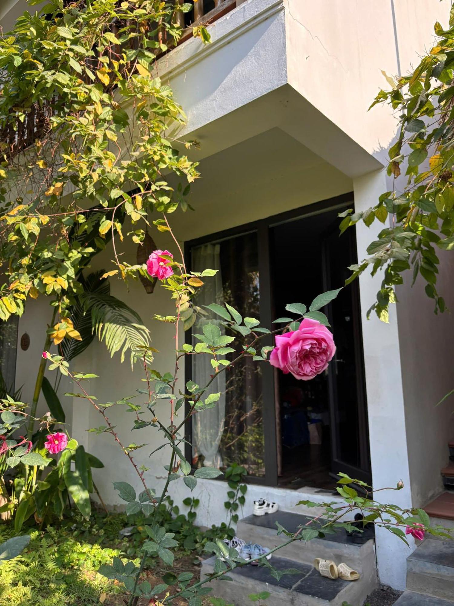 Nan House - Tam Coc Hotel Ninh Binh Exterior photo